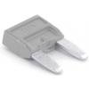 TRU COMPONENTS8551176 mini plochá pojistka pro motorová vozidla , 2 A, 1 ks