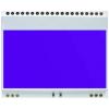 Display Elektronik podsvícení displeje modrá