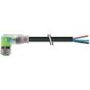 Kabel ovladače snímače, A: Vnitřní, A: Pravoúhlý 3, B: Volný konec kabelu, 30V, IP65, řada: 7000 Murrelektronik Limited Kabel ovladače snímače, A: Vnitřní, A: Pravoúhlý 3, B: Volný konec kabelu, 30V, IP65, řada: 7000 Murrelektronik Limited