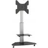 My Wall HP1CL TV kolečkový vozík 81,3 cm (32) - 139,7 cm (55) nastavitelná výška, naklápěcí, nakláněcí, odnímatelný