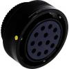 TE Connectivity TE DE Signal Standard CIRHSE06T32A13SCNF80M32V0 1 ks TE Connectivity TE DE Signal Standard CIRHSE06T32A13SCNF80M32V0 1 ks