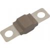 TRU COMPONENTS TC-13545888 pojistka 70 A 80 V/DC Množství 10 ks Bulk