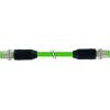 Murrelektronik 7000-44511-6590050 upravený zástrčkový konektor pro senzory - aktory M12 x 1 zástrčka, rovná, zástrčka, rovná 0.50 m Počet pólů: 4 1 ks