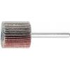 PFERD TOOLS 44409074 Vějířový brusný kotouč Průměr 30 mm 10 ks PFERD TOOLS 44409074 Vějířový brusný kotouč Průměr 30 mm 10 ks