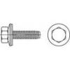 TOOLCRAFT 1070014 vrut na dřevěné fasády 6.3 mm 115 mm vnější šestihran 88276 nerezová ocel A2 100 ks