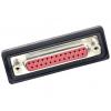 Molex 1731100142 zástrčka D-SUB Pólů: 25 pájecí kalíšek 1 ks