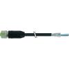 Murrelektronik 7000-13201-6410300 neupravený zástrčkový konektor pro senzory - aktory M12 x 1 zásuvka, rovná 3.00 m Počet pólů: 4 1 ks