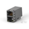 TE Connectivity TE AMP High Performance Mod Jacks High Performance Mod Jacks 1888653-5 1 ks