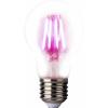 LightMe LED lampa na rostliny LM85320 109 mm 230 V E27 4 W klasická žárovka 1 ks LightMe LED lampa na rostliny LM85320 109 mm 230 V E27 4 W klasická žárovka 1 ks