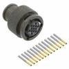 Molex Zajištění koncové polohy 6, 1729530601, 1 ks Bag Molex Zajištění koncové polohy 6, 1729530601, 1 ks Bag