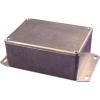 Hammond Electronics 1590WBXF univerzální pouzdro 254 x 70 x 49.5 hliník přírodní 1 ks Hammond Electronics 1590WBXF univerzální pouzdro 254 x 70 x 49.5 hliník přírodní 1 ks