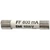 HT Instruments 2009710 Sicherung SB0.8A Pojistka 1 ks