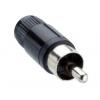 Lumberg Zástrčka RCA, orientace těla: Rovný, Černá, Kabel, pokovení: Nikl 2A, 70 °C, -20 °C, materiál kontaktu: Mosazná