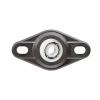 Těleso přírubového ložiska 2otvorové EFOM-BB1-P10-B180-ES Igus 10 mm (vnitřní prům.) Těleso přírubového ložiska 2otvorové EFOM-BB1-P10-B180-ES Igus 10 mm (vnitřní prům.)