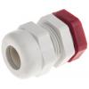 Kabelová průchodka, řada: WADI-TEC Z6101100R Šedá Polyamid 6, IP68 PG11 SIB 5.5 mm až 10.5 mm Kabelová průchodka, řada: WADI-TEC Z6101100R Šedá Polyamid 6, IP68 PG11 SIB 5.5 mm až 10.5 mm