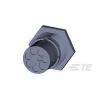 TE Connectivity TE AMP Nector Power Distribution 293688-3 1 ks TE Connectivity TE AMP Nector Power Distribution 293688-3 1 ks