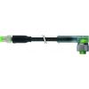 Murrelektronik 7000-88281-6300030 upravený zástrčkový konektor pro senzory - aktory M8 x 1 zástrčka, rovná, zásuvka, zahnutá 0.30 m Počet pólů: 3 1 ks