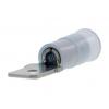 Molex 190250007 faston konektor Šířka zástrčky: 6.35 mm Tloušťka konektoru: 0.81 mm 1 ks Bulk Molex 190250007 faston konektor Šířka zástrčky: 6.35 mm Tloušťka konektoru: 0.81 mm 1 ks Bulk
