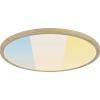 Paulmann Atria Shine 71260 LED panel 20.8 W teplá bílá dřevo (světlé) Paulmann Atria Shine 71260 LED panel 20.8 W teplá bílá dřevo (světlé)
