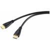 Renkforce RF-4777274 HDMI / DisplayPort kabelový adaptér [1x HDMI zást...