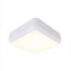 Ansell Lighting Průmyslová svítidla Čtvercový Čtvercový, řada: AALED2, 14 W, typ žárovky: LED Přepážka difuzor, 220V, Ansell Lighting Průmyslová svítidla Čtvercový Čtvercový, řada: AALED2, 14 W, typ žárovky: LED Přepážka difuzor, 220V,