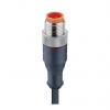Kabel ovladače snímače, A: Vnější, A: Rovný 4, B: Bez koncovky, B: Vnitřní, 230V, IP66, IP67, IP68, IP69K, řada: RST Kabel ovladače snímače, A: Vnější, A: Rovný 4, B: Bez koncovky, B: Vnitřní, 230V, IP66, IP67, IP68, IP69K, řada: RST
