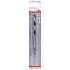 Bosch Accessories 2608577537 PointTeQ 1 ks spirálový vrták kov 10 mm