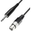 Paccs XLR propojovací kabel [1x XLR zásuvka - 1x jack zástrčka 6,3 mm] 5.00 m černá