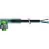Murrelektronik 7000-12421-6341000 neupravený zástrčkový konektor pro senzory - aktory, 7000-12421-6341000, piny: 4, 10.00 m, 1 ks