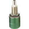 TRU COMPONENTS zdířka pro banánek zásuvka, vestavná vertikální Ø pin: 4 mm zelená 1 ks