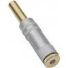 TRU COMPONENTS TC-2502109 jack konektor 3.5 mm spojka, rovná Pólů: 3 stereo zlatá 1 ks