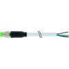 Murrelektronik 7000-08001-2100300 neupravený zástrčkový konektor pro senzory - aktory M8 x 1 zástrčka, rovná 3.00 m Počet pólů: 3 1 ks
