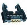 Vidlice řadová DS1011-10SBSIB7-B, 2×5 kontaktů, 14 mm, Au Vidlice řadová DS1011-10SBSIB7-B, 2×5 kontaktů, 14 mm, Au