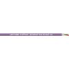 LAPP 3031981-100 sběrnicový kabel UNITRONIC® BUS 1 x 2 x 0.32 mm² fialová 100 m