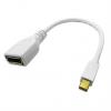 Roline, A: Vnější Mini DisplayPort, B: Vnitřní Display Port DisplayPort Kabely 210 mm Roline, A: Vnější Mini DisplayPort, B: Vnitřní Display Port DisplayPort Kabely 210 mm