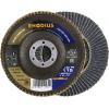 Rhodius 211328 vějířovitý brusný kotouč Průměr 115 mm Ø otvoru 22.23 mm Zrnitost 60 nerezová ocel, ocel 1 ks