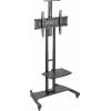 SpeaKa Professional SP-TVC-710 TV kolečkový vozík 81,3 cm (32) - 190,5 cm (75) podlahový stojan, nastavitelná výška, nakláněcí, odkládací místo na notebook SpeaKa Professional SP-TVC-710 TV kolečkový vozík 81,3 cm (32) - 190,5 cm (75) podlahový stojan, nastavitelná výška, nakláněcí, odkládací místo na notebook