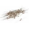 TRU COMPONENTS 1584857 TC-CFR0W4J0221KIT203 uhlíkový rezistor 220 Ω ax... TRU COMPONENTS 1584857 TC-CFR0W4J0221KIT203 uhlíkový rezistor 220 Ω ax...