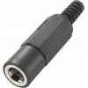 TRU COMPONENTS LT-DC3.5M nízkonapěťový konektor zástrčka, rovná 3.5 mm...