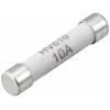 VOLTCRAFT VC 100er Fuse pojistka multimetru (Ø x d) 6.35 mm x 31.8 mm 10 A 600 V/AC, 600 V/DC F rychlá Množství 1 ks VOLTCRAFT VC 100er Fuse pojistka multimetru (Ø x d) 6.35 mm x 31.8 mm 10 A 600 V/AC, 600 V/DC F rychlá Množství 1 ks