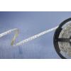 Barthelme 51540831 51540831 LED pásek volný konec 24 V 5 m RGB 1 ks