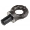 Oční šroub, Ocel 1/2 in UNC RS PRO 23 mm 20 mm, limit zatížení: 0.5 t Oční šroub, Ocel 1/2 in UNC RS PRO 23 mm 20 mm, limit zatížení: 0.5 t