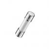 Kazetová pojistka 100mA F 5 x 20 mm RS PRO Keramika 250V ac