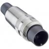 Lumberg SV 81 C SV 81 C zástrčka, 1 ks Lumberg SV 81 C SV 81 C zástrčka, 1 ks