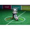 Sphero Robot Sphero Robot