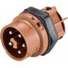 Wieland Electric RST16I3KSBS 15 30SW 46.432.3030.1 upravený kulatý fas...