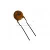 Vratná pojistka PSP025, 250 V / 0,25 A, RM 5,1 mm