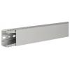 Hager BA740060 vodicí lišta (d x š x v) 2 m x 60 mm x 40 mm 2 m šedá