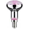 Paulmann LED lampa pro růst rostlin 230 V E27 6.5 W jantar 1 ks Paulmann LED lampa pro růst rostlin 230 V E27 6.5 W jantar 1 ks