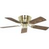 CasaFan FLAT 103-III MG-EA/BU Flügel Eiche antik/Buche stropní ventilátor 65 W (Ø x v) 103 cm x 164 mm mosazná (kartáčovaná) vyměnitelné lopatky, vhodný i pro